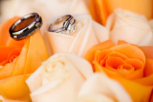 rings on roses